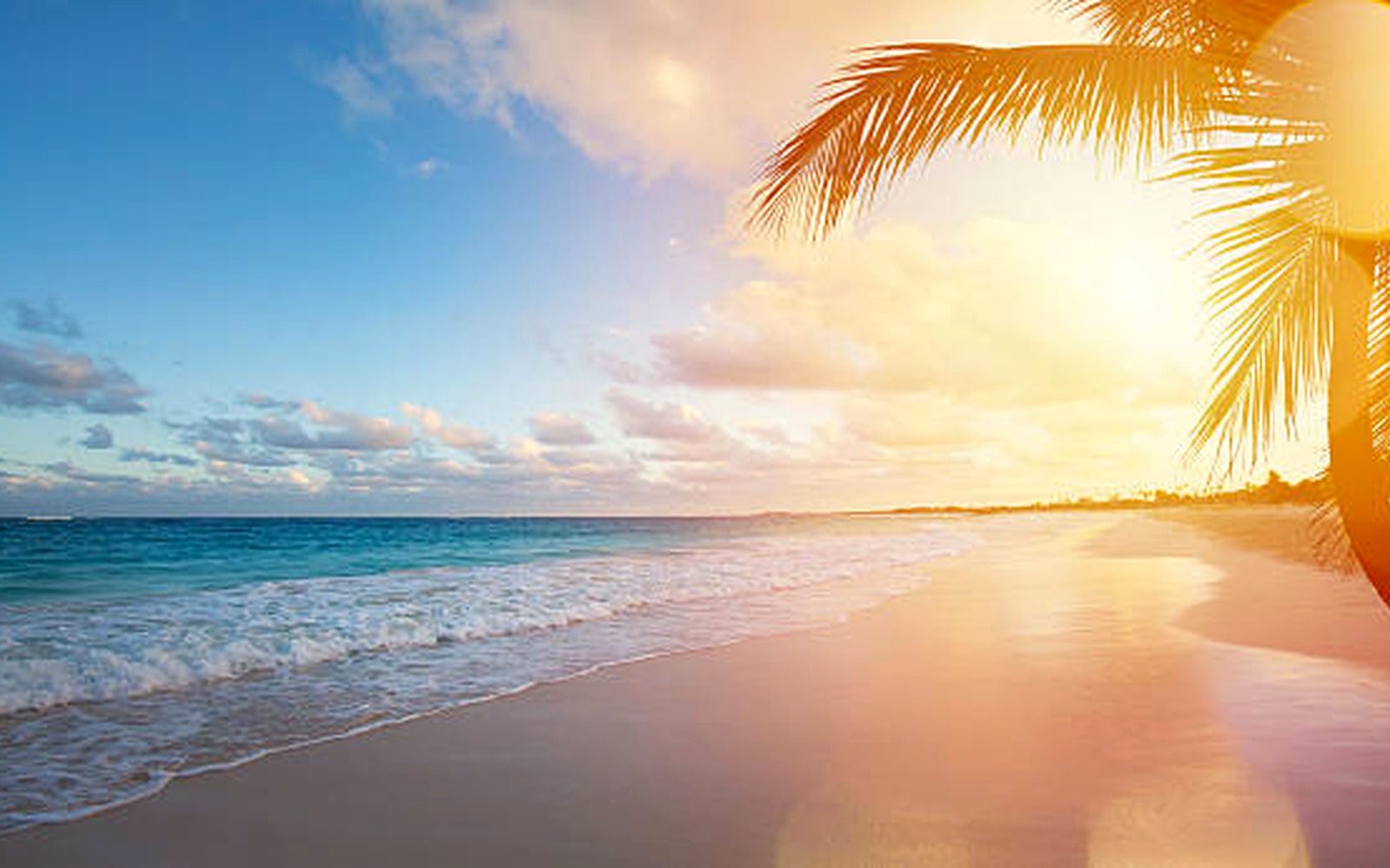 Goa